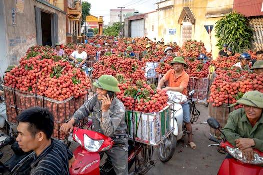 Driving sustainable change: green transport and AI impact